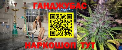 прущие грибы Обнинск