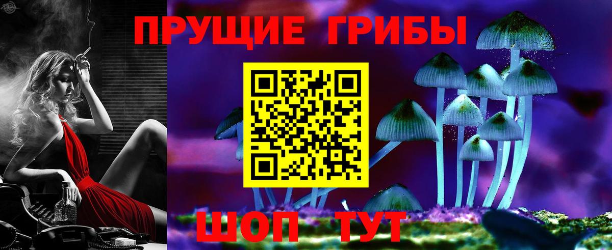 Псилоцибиновые грибы Psilocybine cubensis  где купить   Сердобск  Галлюциногенные грибы Magic Shrooms  Вход с VPN 